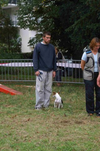 foire-haricots 2011-09-17et18